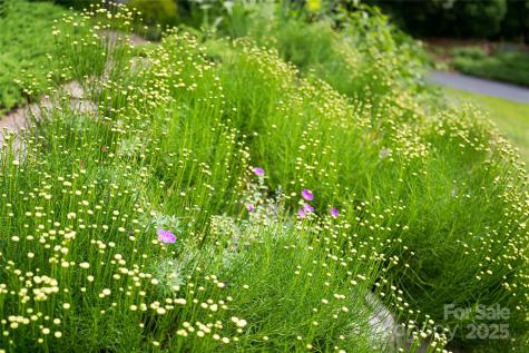 7 White Palmer Court Biltmore Lake NC 28715