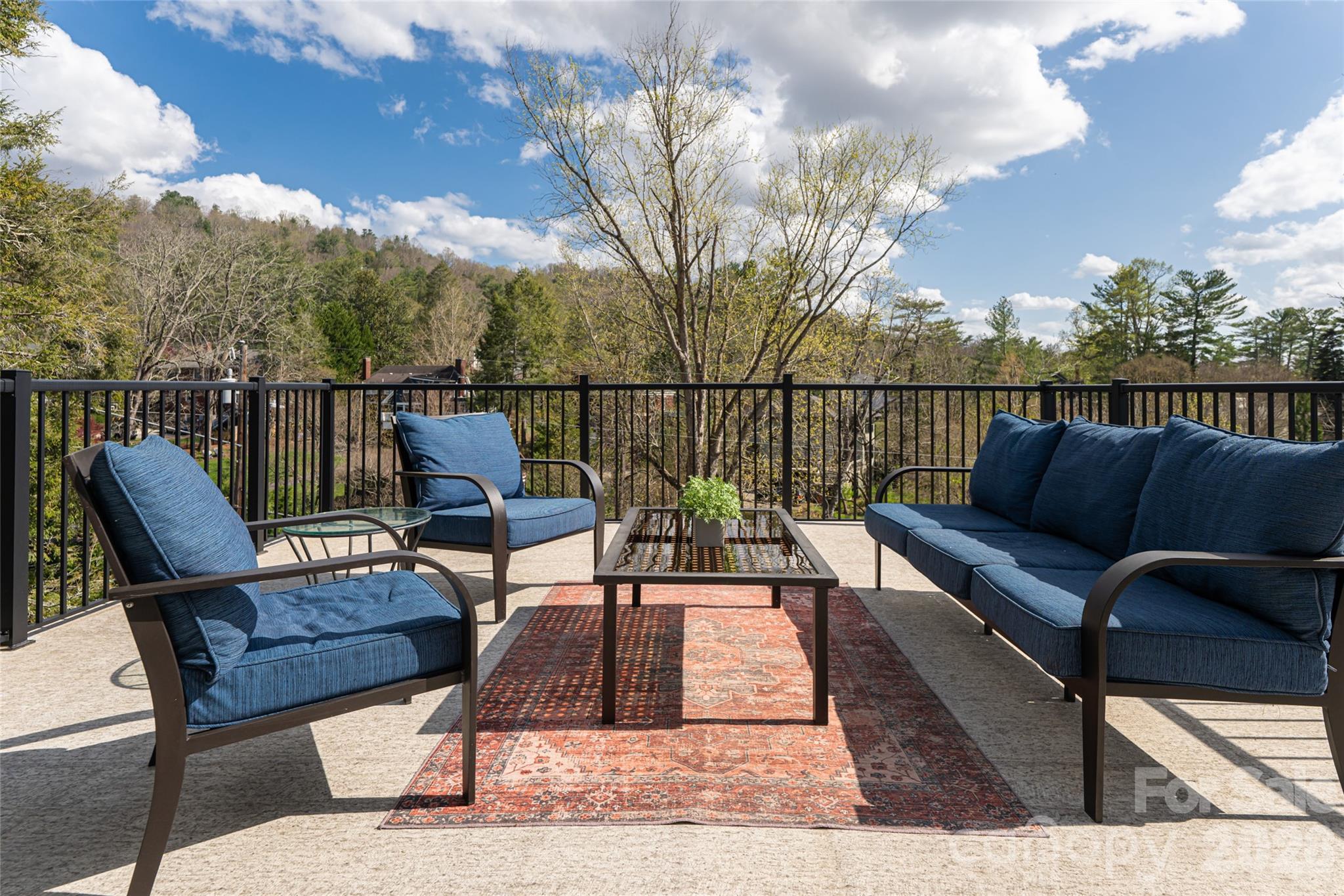 18 Edgemont Road Asheville NC 28801