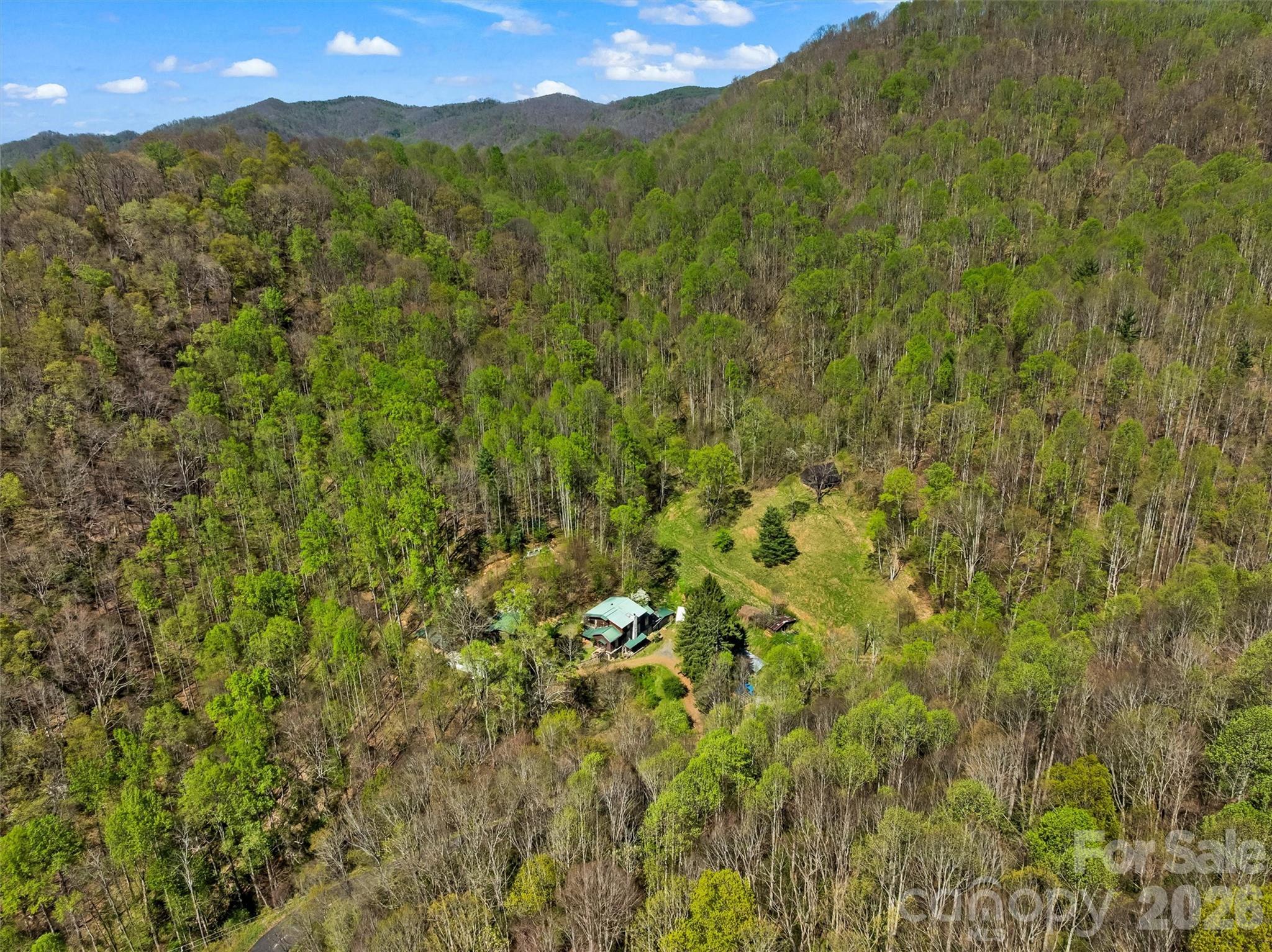 1717 Howard Moore Road Hot Springs NC 28743