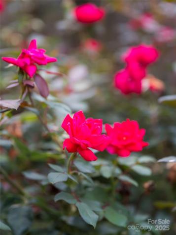 54 Louisiana Avenue Asheville NC 28806