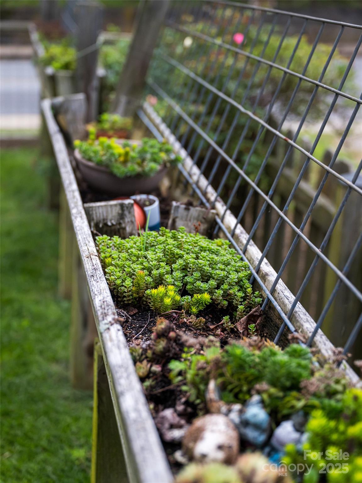 54 Louisiana Avenue Asheville NC 28806