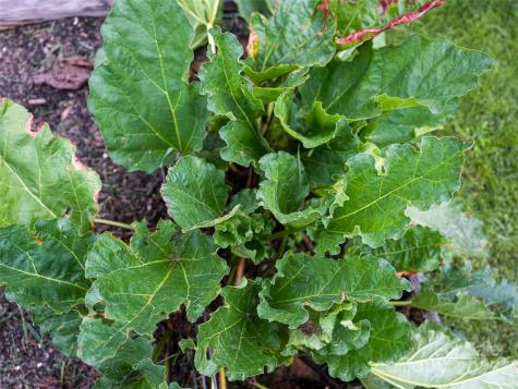 54 Louisiana Avenue Asheville NC 28806