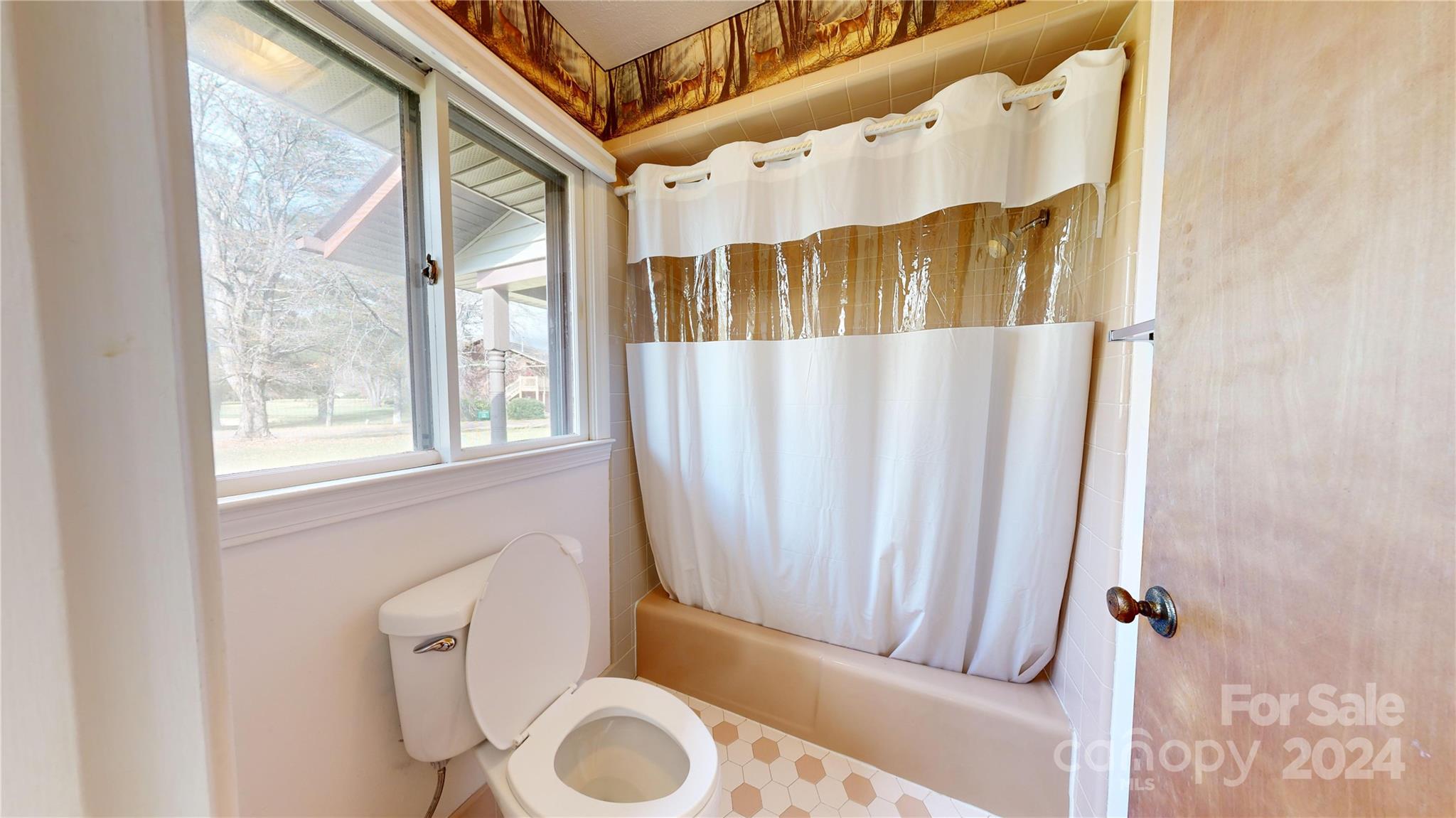 12 Moland Drive Etowah NC 28729