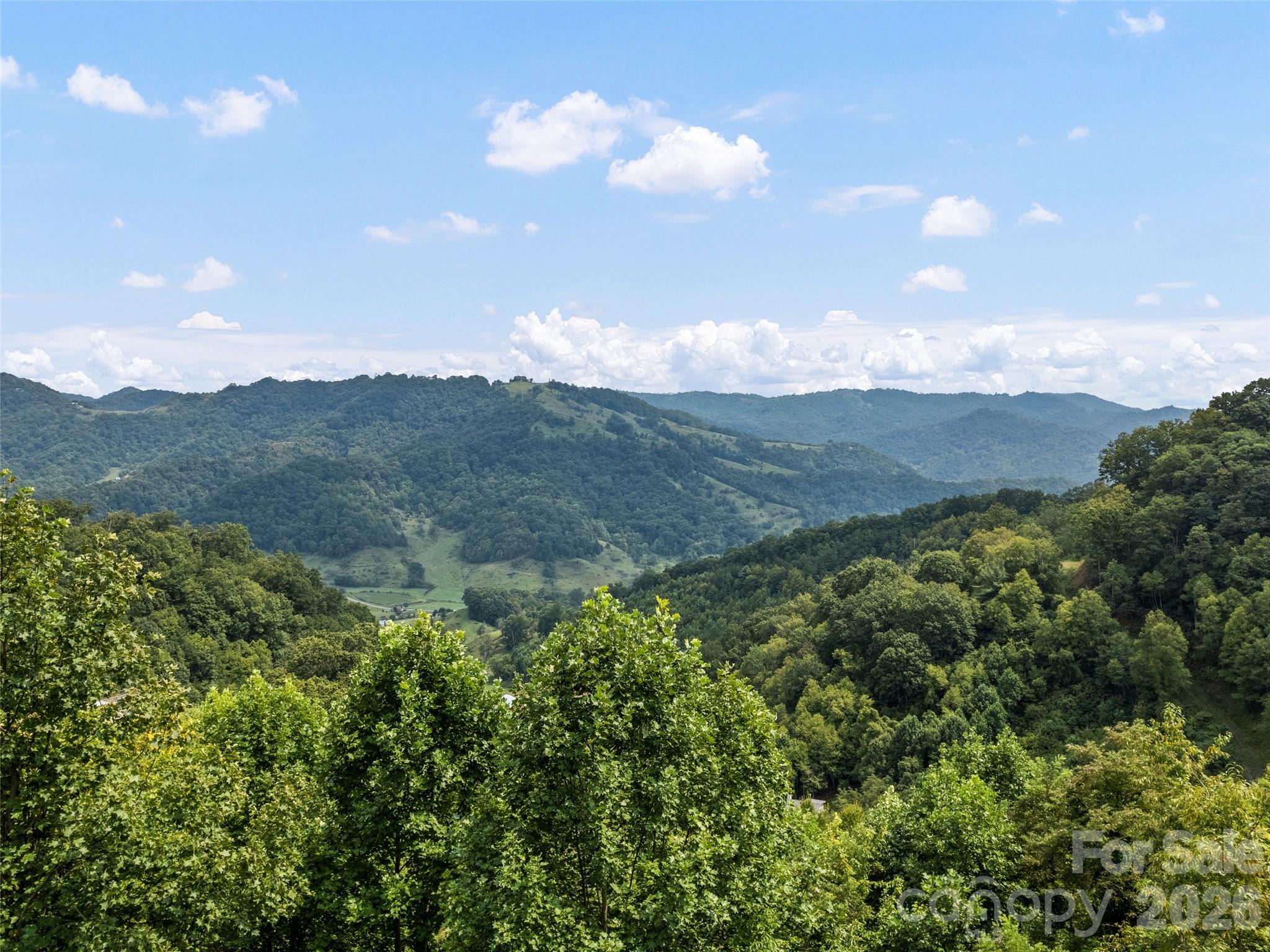 1225 Clark Road Clyde NC 28721