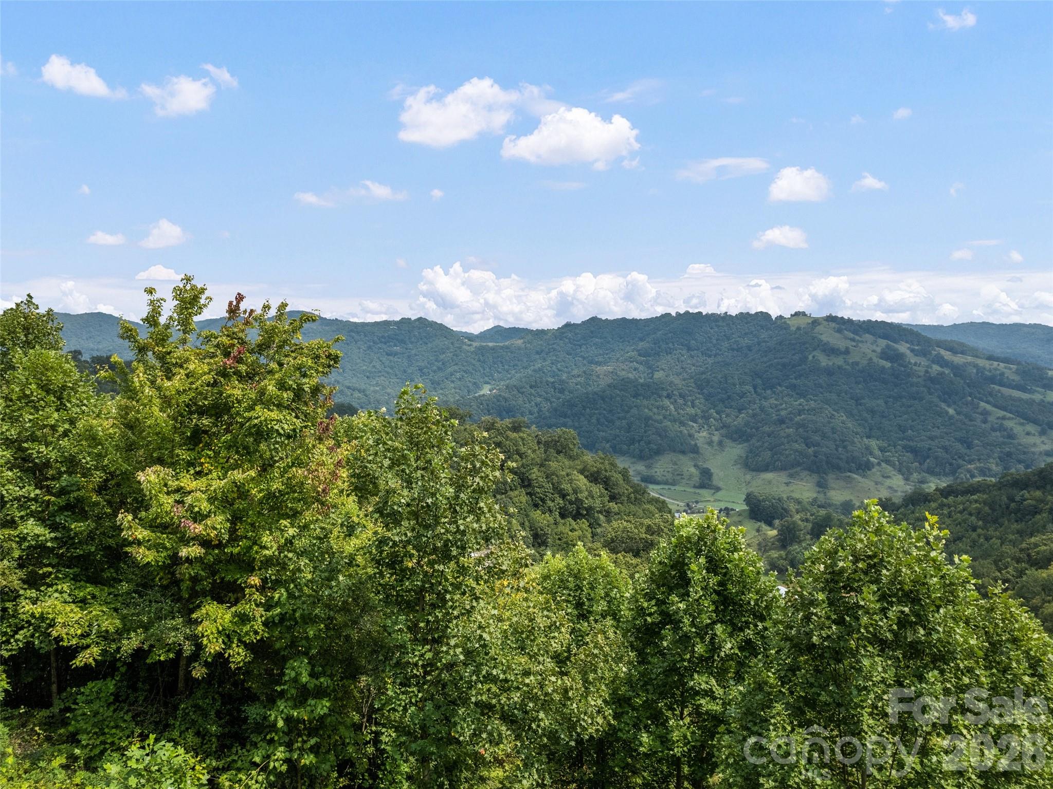 1225 Clark Road Clyde NC 28721
