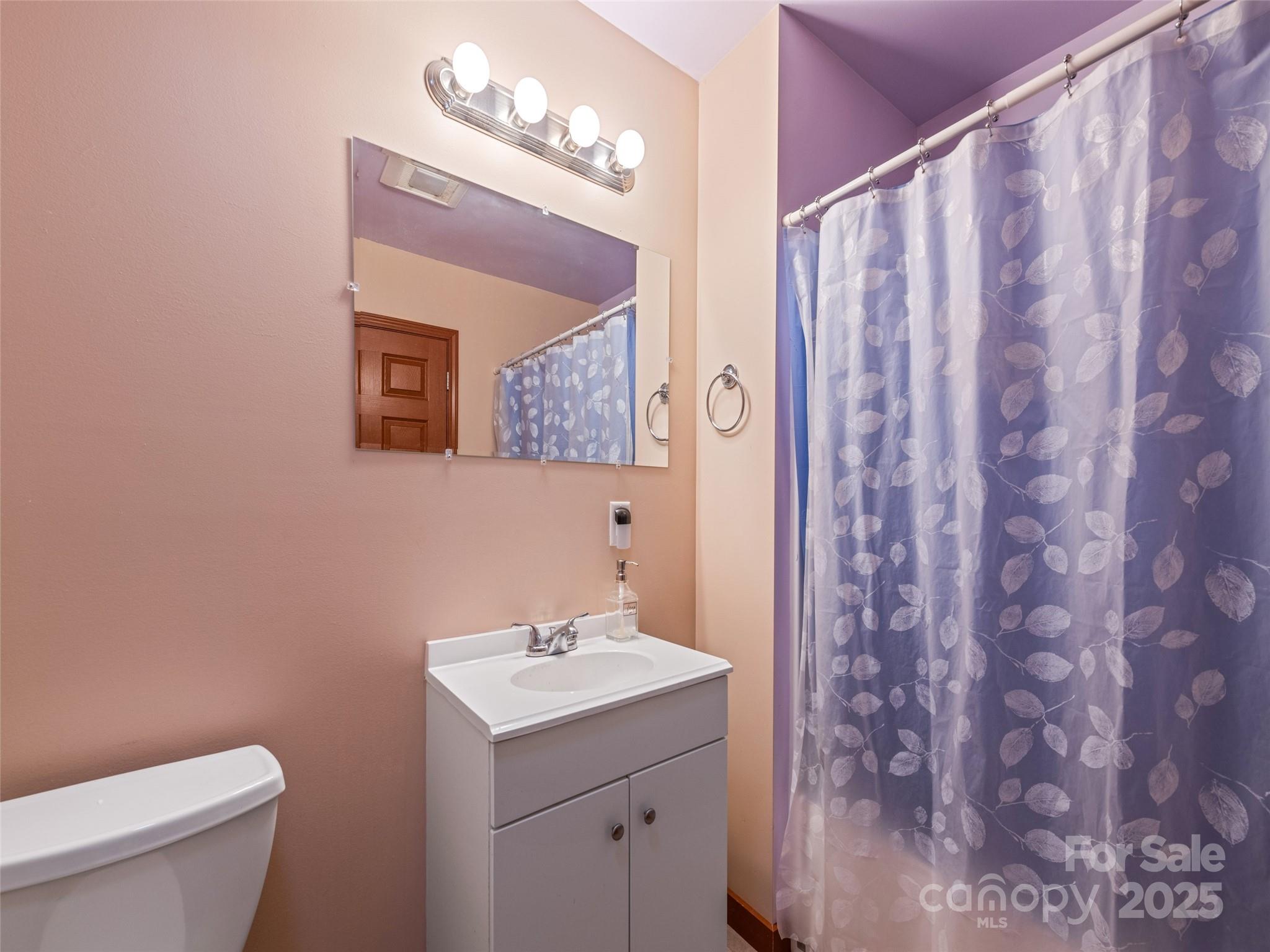 2675 Holbert Cove Road Saluda NC 28773