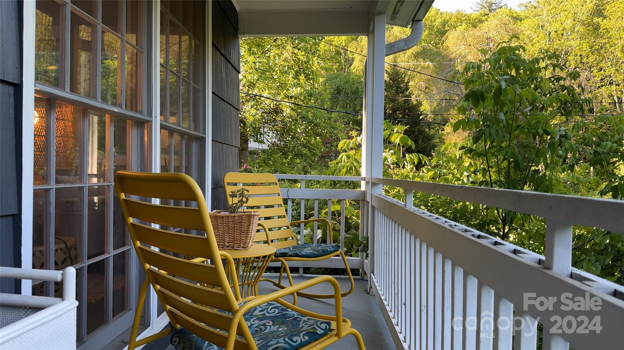 14 Mann Road Asheville NC 28805