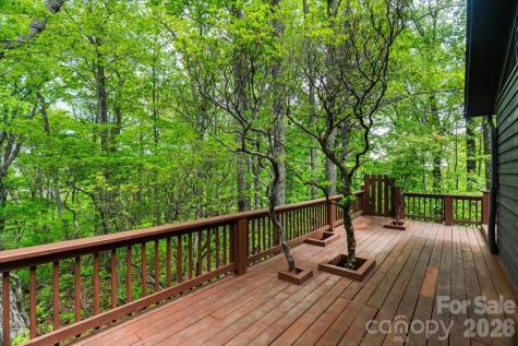 100 Gold Creek Crossing Black Mountain NC 28711