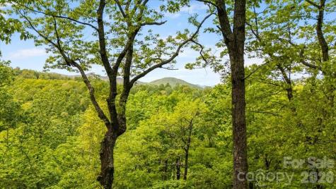 100 Gold Creek Crossing Black Mountain NC 28711