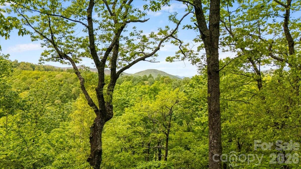 100 Gold Creek Crossing Black Mountain NC 28711