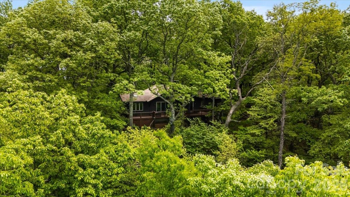100 Gold Creek Crossing Black Mountain NC 28711