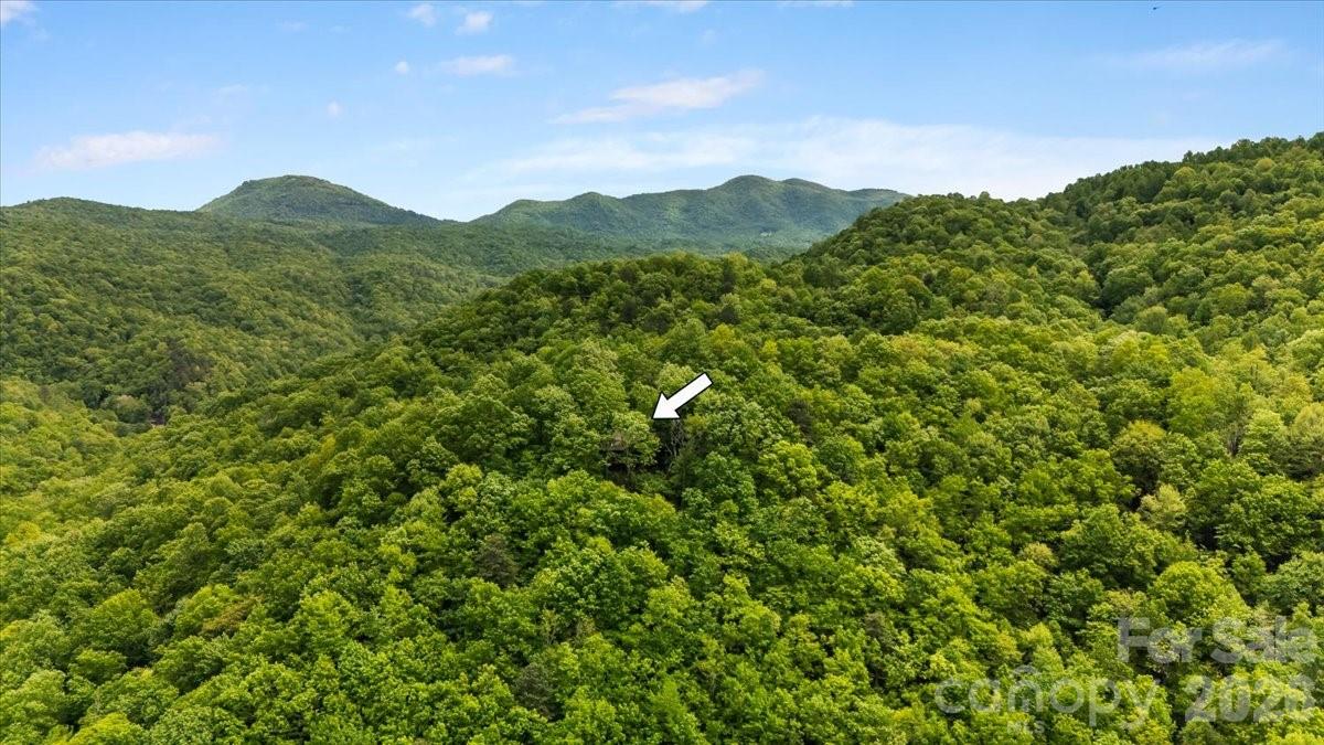 100 Gold Creek Crossing Black Mountain NC 28711