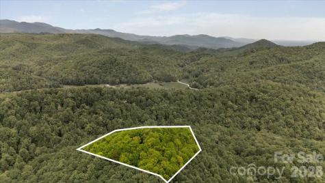 100 Gold Creek Crossing Black Mountain NC 28711