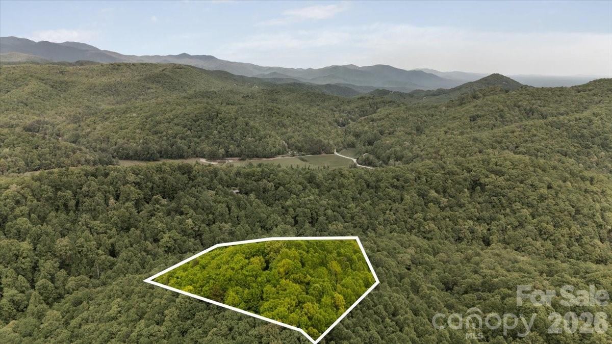 100 Gold Creek Crossing Black Mountain NC 28711