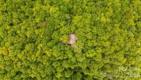 100 Gold Creek Crossing Black Mountain NC 28711