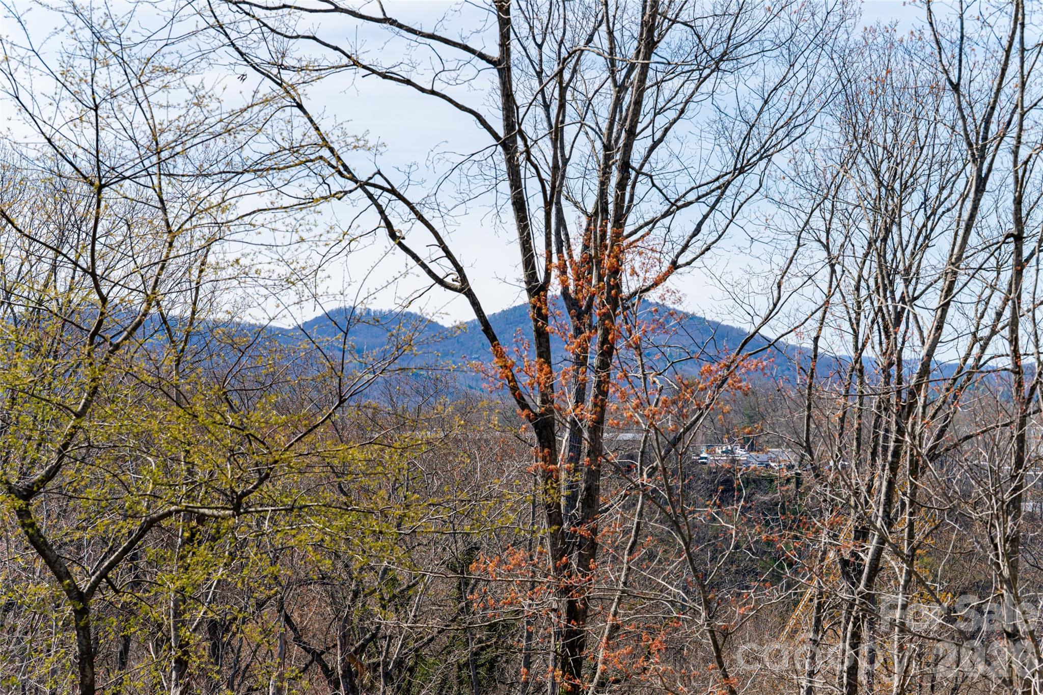 178 Courtland Place Asheville NC 28801