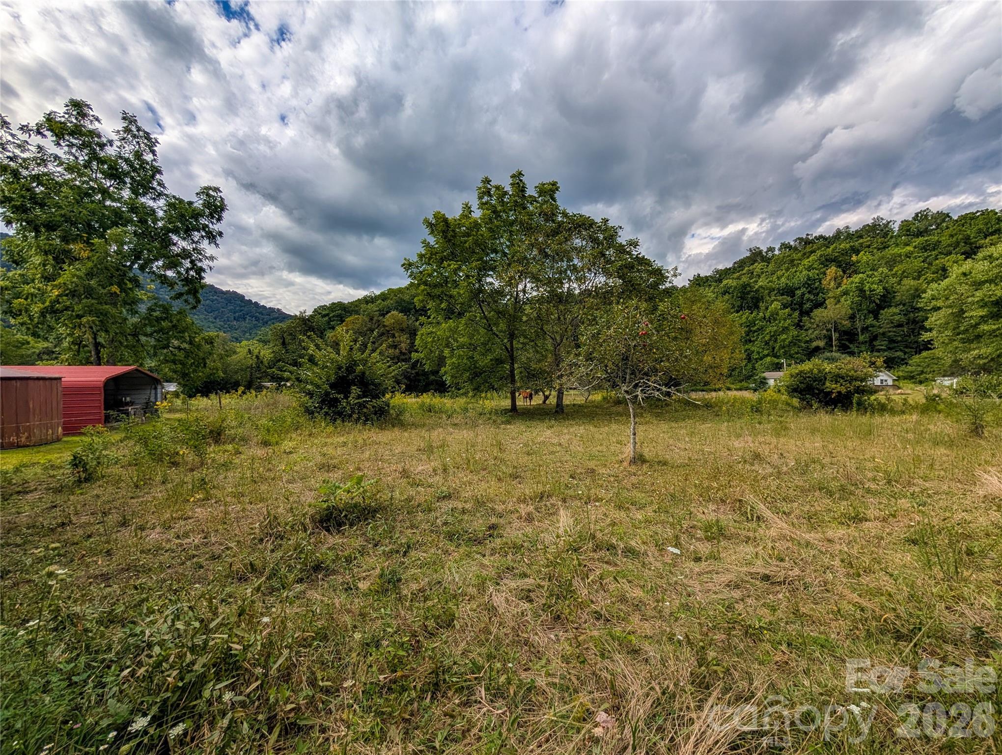 165 Cattail Creek Road Burnsville NC 28714
