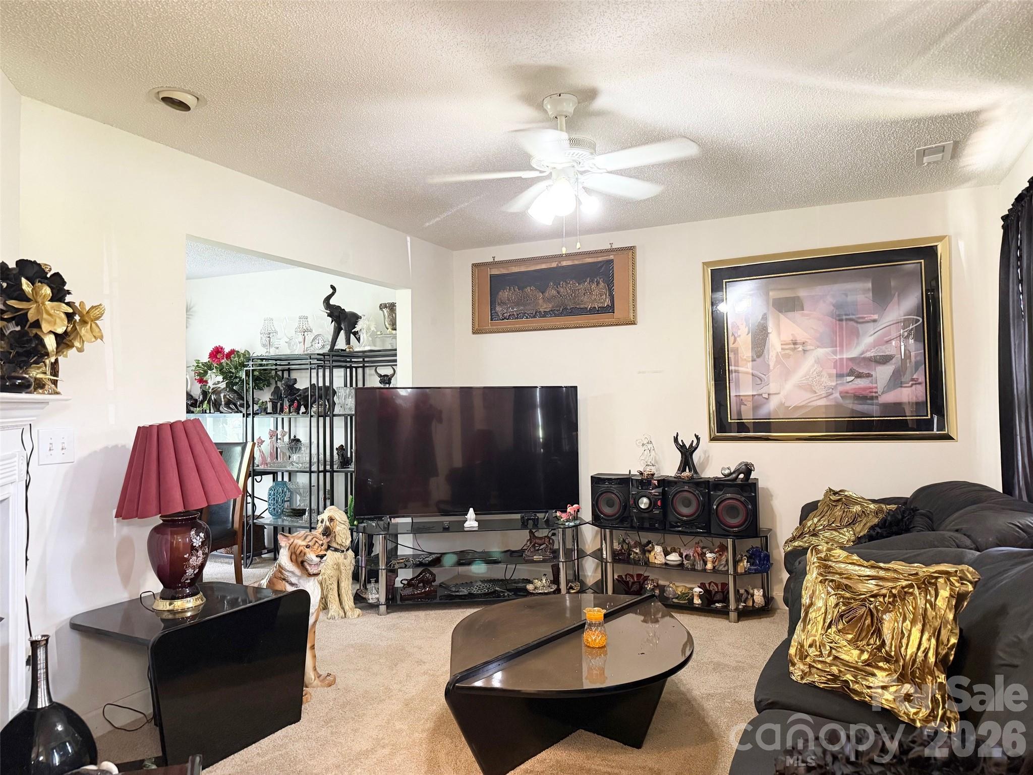 4046 W Fairmeadow Drive Lancaster SC 29720