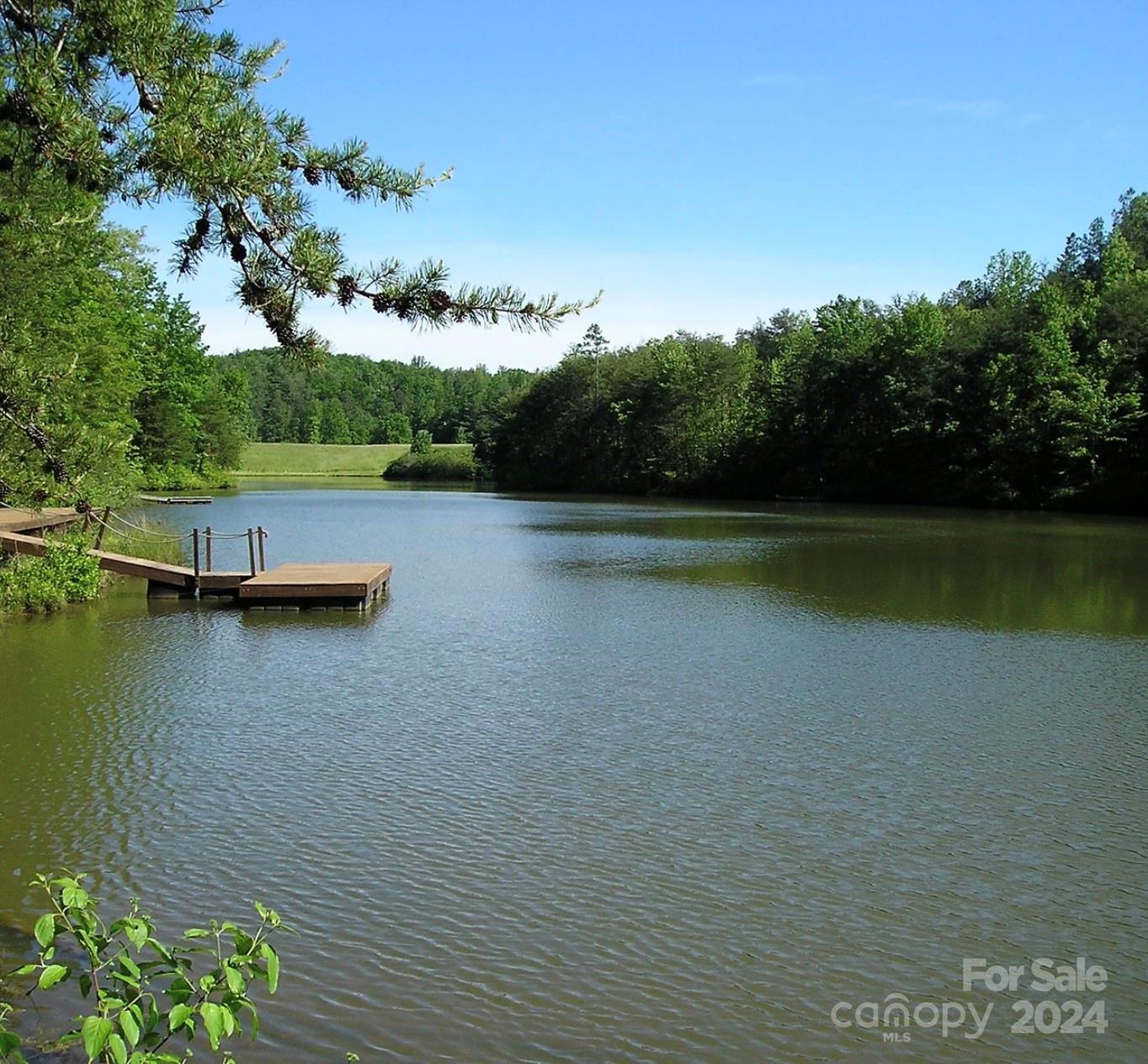 582 Hidden Lake Parkway Nebo NC 28761