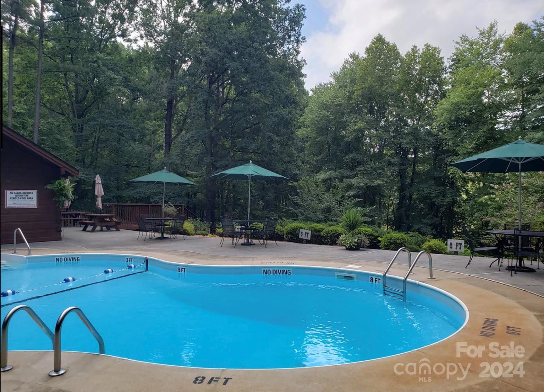 582 Hidden Lake Parkway Nebo NC 28761