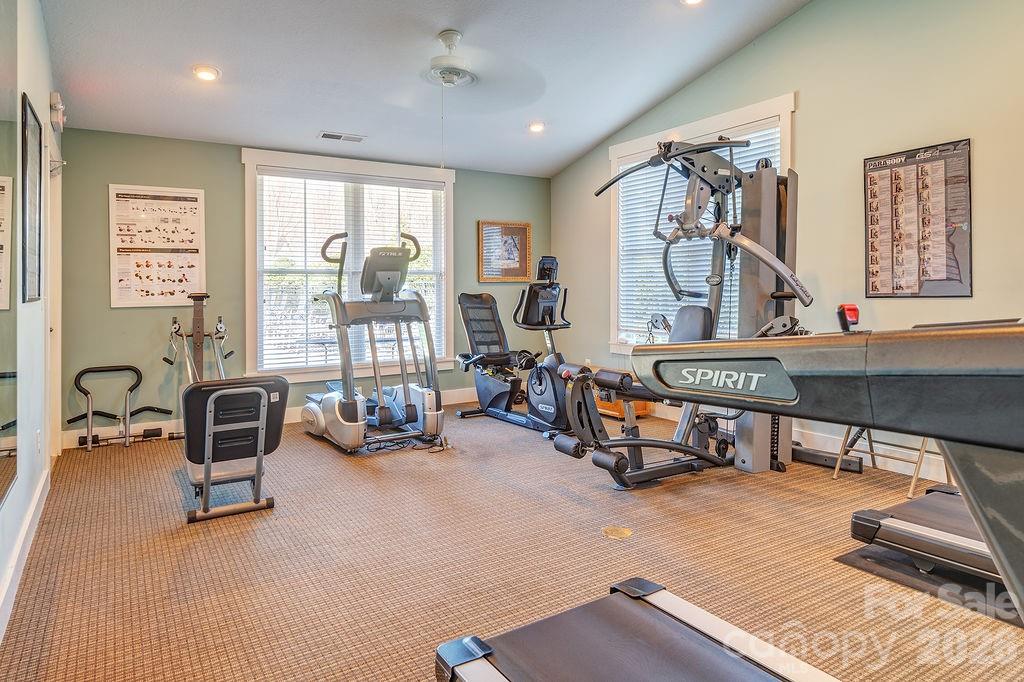 16 Holland Mountain View Asheville NC 28804