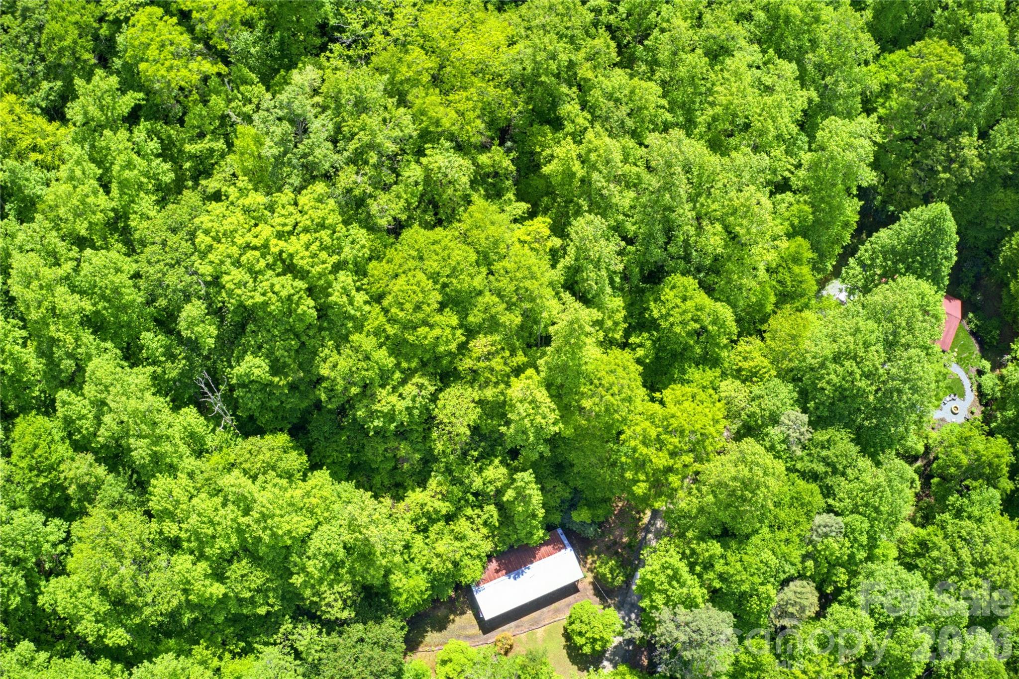 223 Little Cove Road Sylva NC 28779