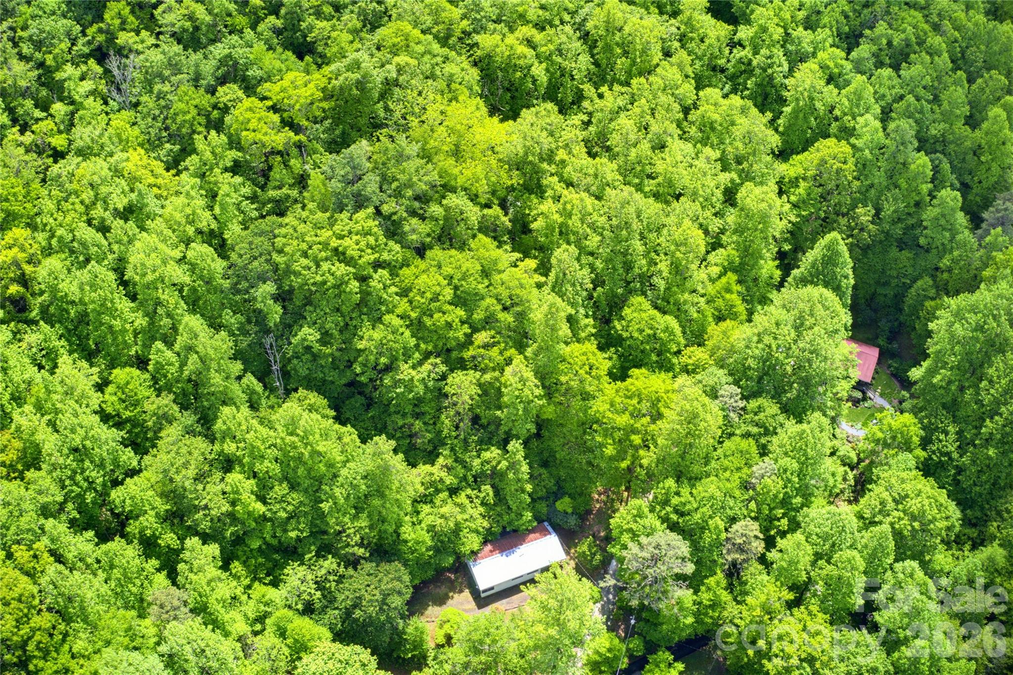 223 Little Cove Road Sylva NC 28779
