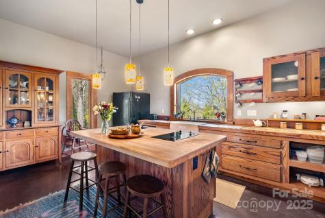 111 Flora Rose Trail Asheville NC 28803