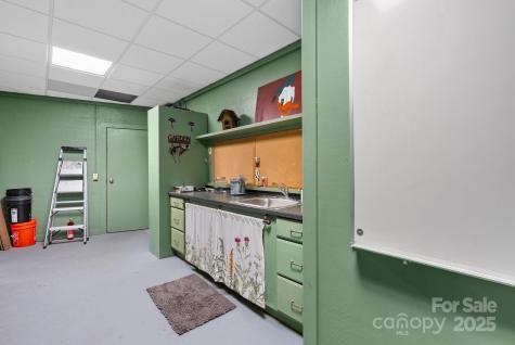 111 Flora Rose Trail Asheville NC 28803