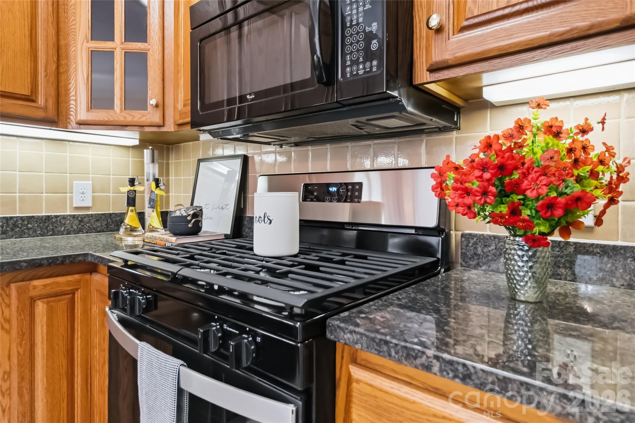 11177 Villa Trace Place Charlotte NC 28277