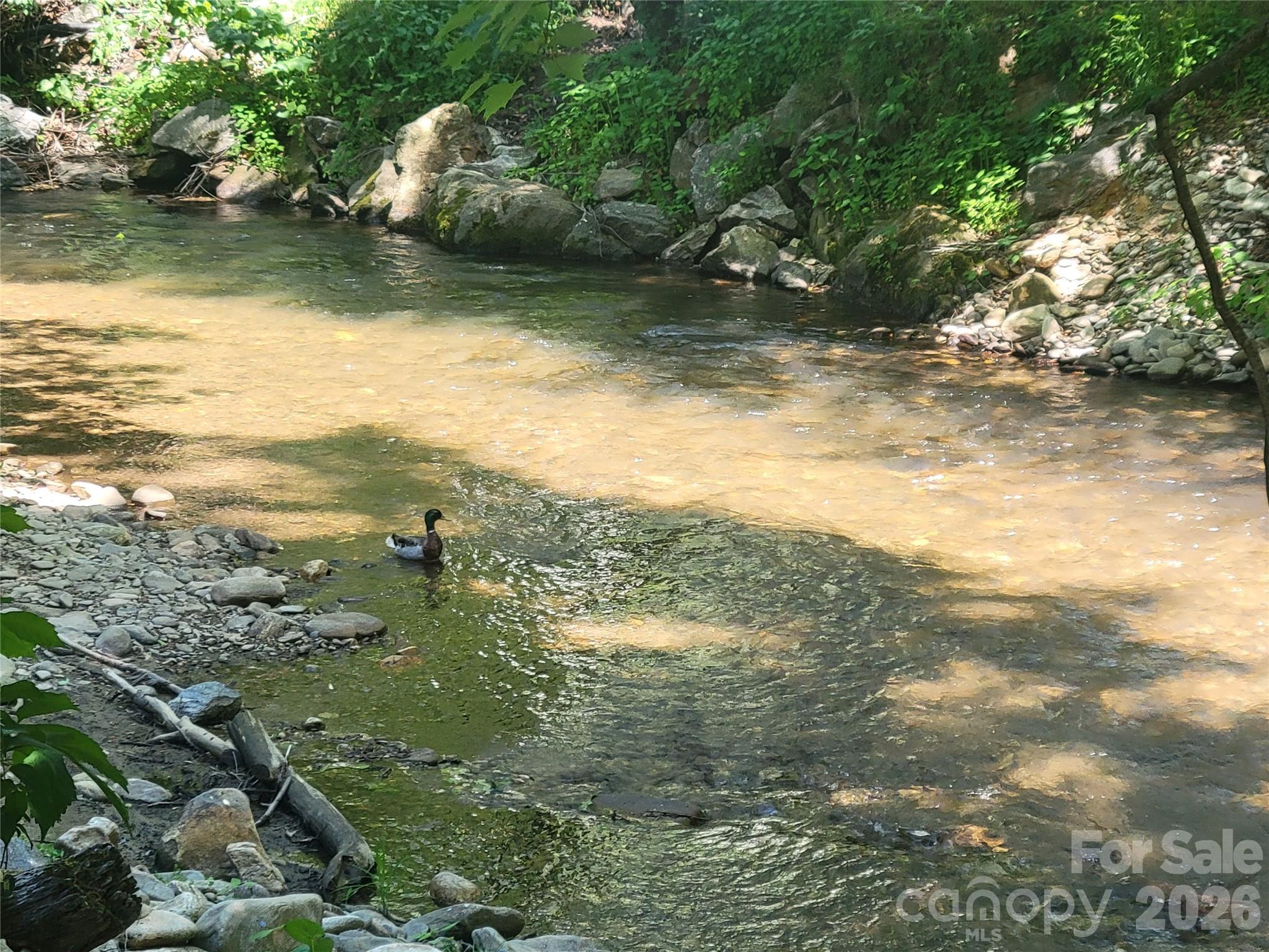 221 Moody Farm Road Maggie Valley NC 28751
