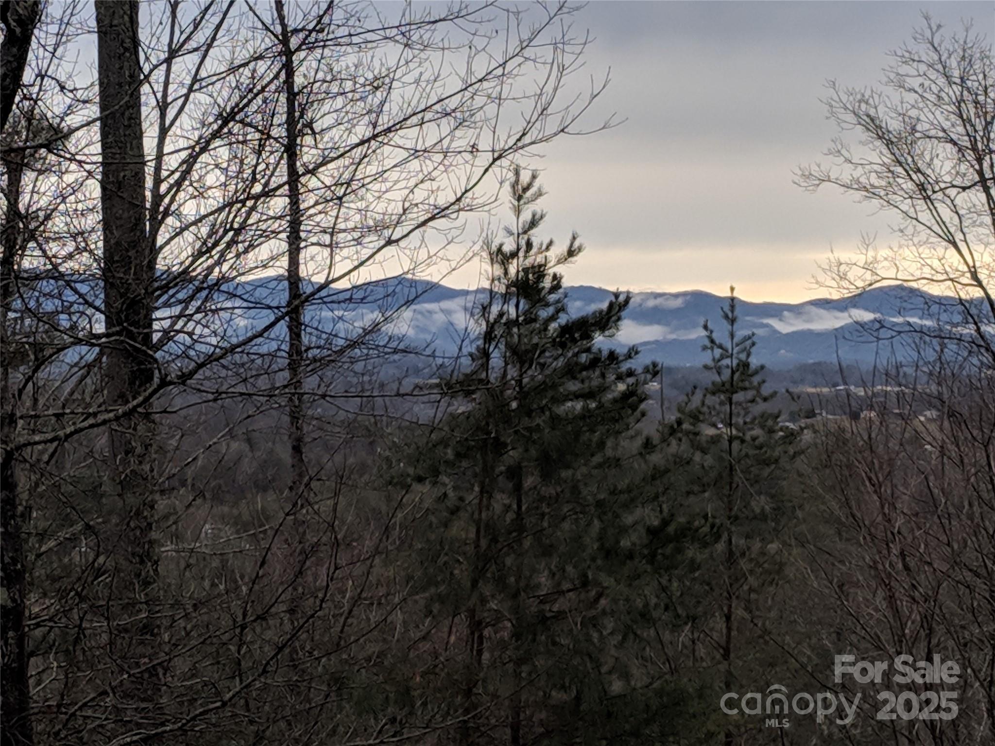 33 Northside Drive Asheville NC 28804