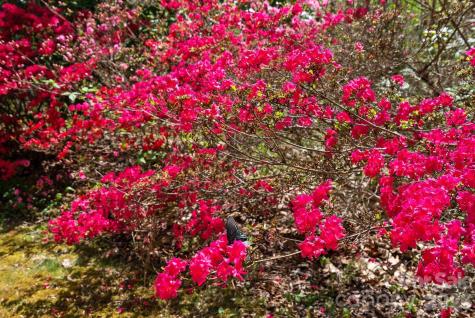 1060 Indian Camp Creek Road Hot Springs NC 28743