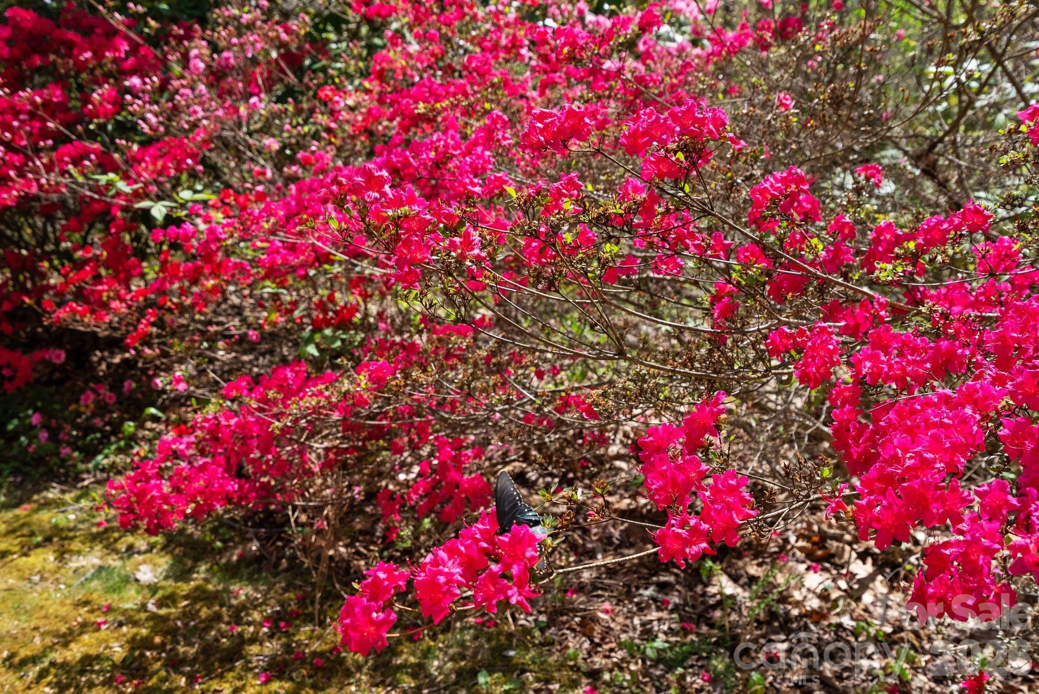 1060 Indian Camp Creek Road Hot Springs NC 28743