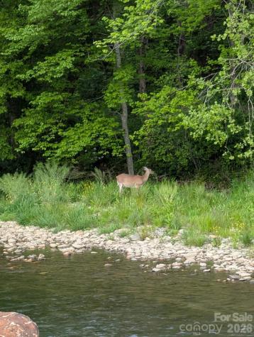 21 Swift Stream Lane Waynesville NC 28785