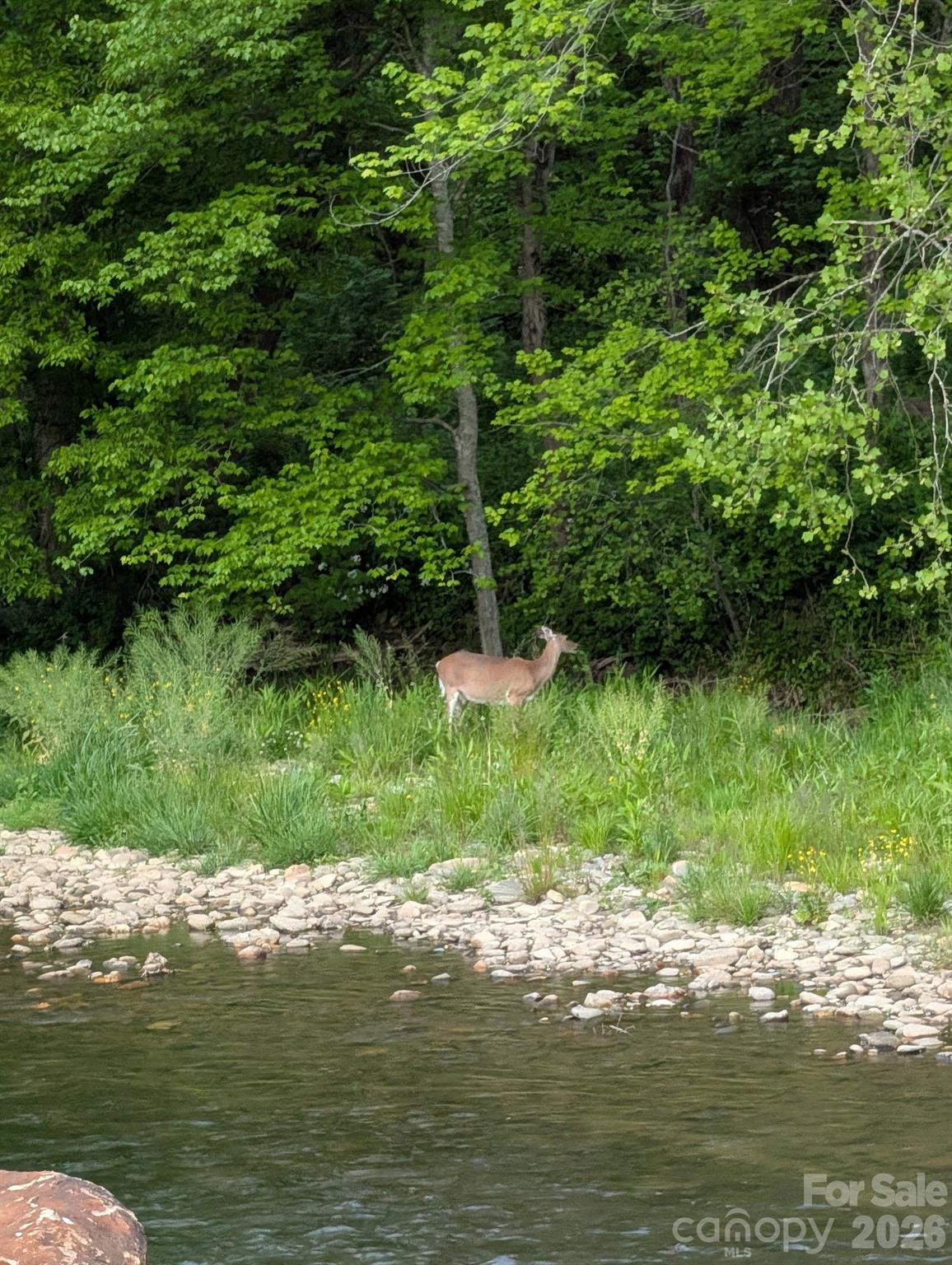 21 Swift Stream Lane Waynesville NC 28785