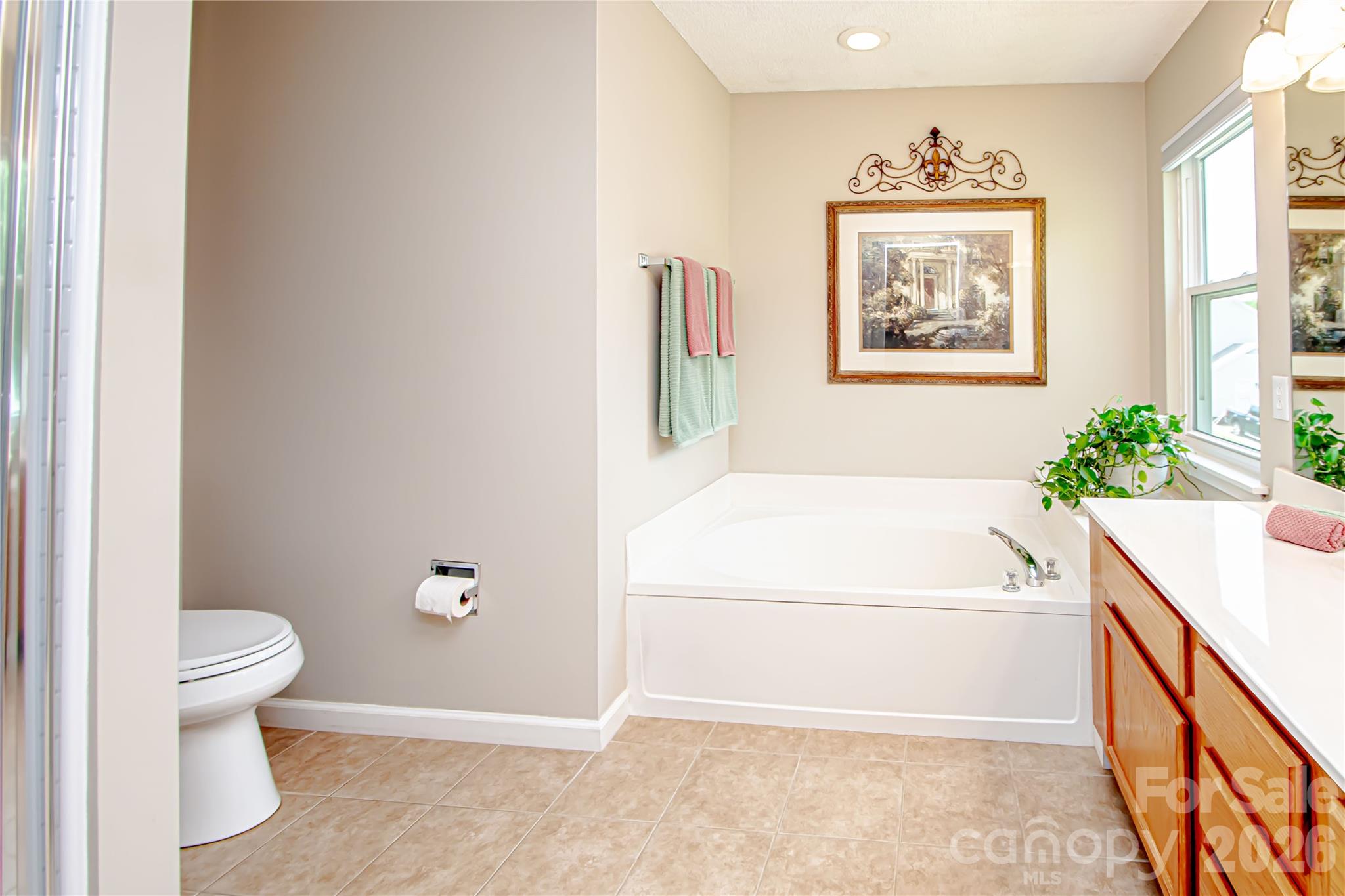 9301 Hanworth Trace Drive Charlotte NC 28277