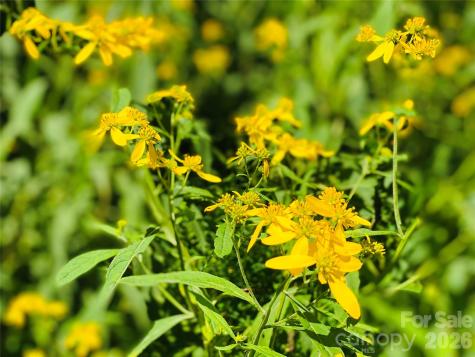 3301 State Highway 197 N Burnsville NC 28714