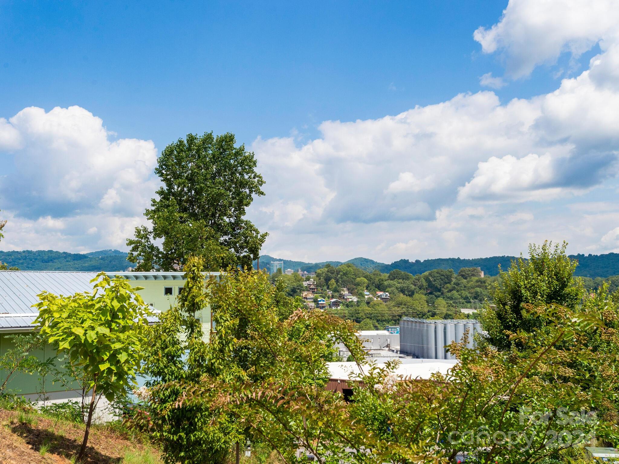 4 Osprey Trail Asheville NC 28806