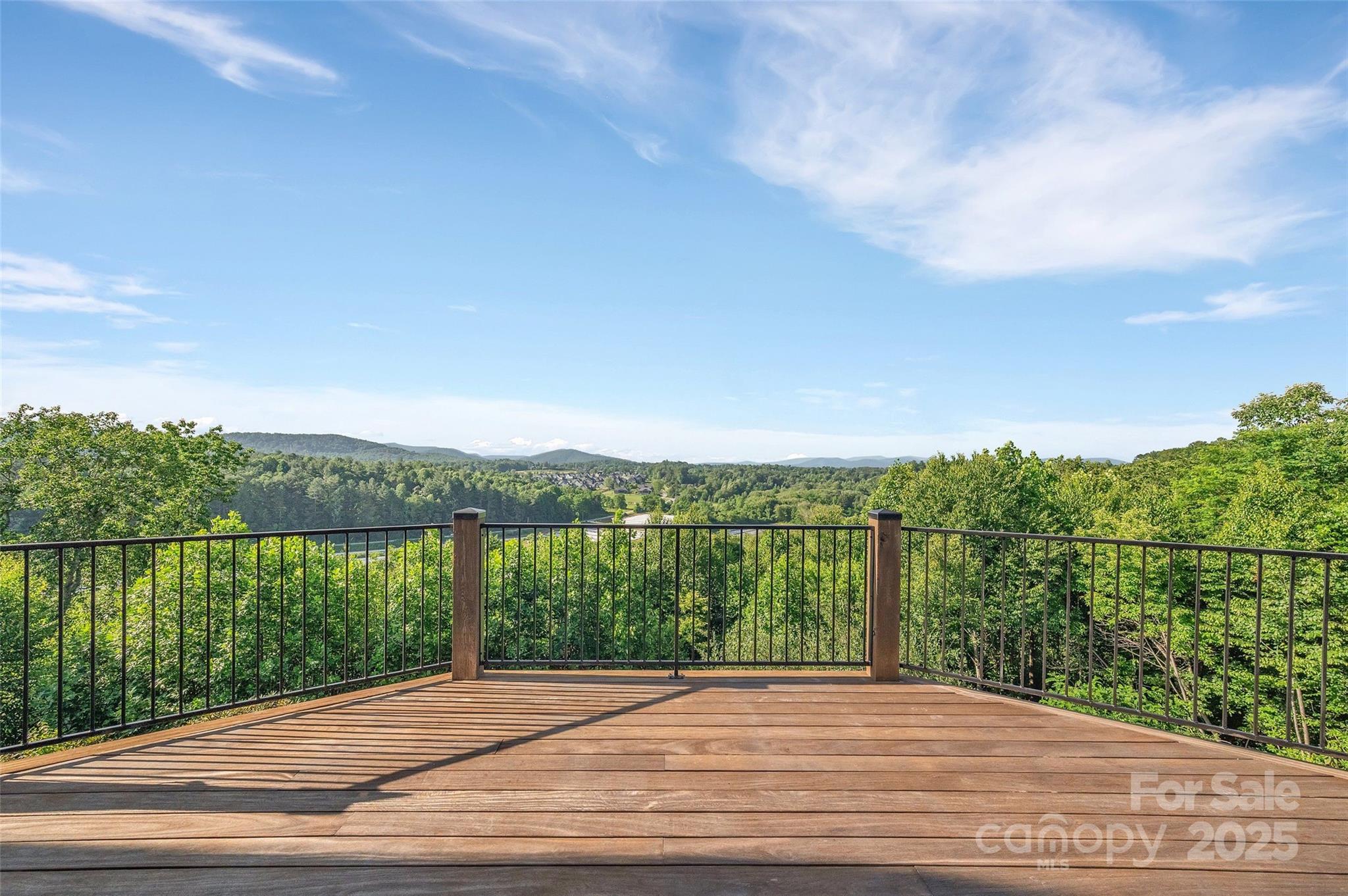 26 Bonnies Cove Trail Mills River NC 28759