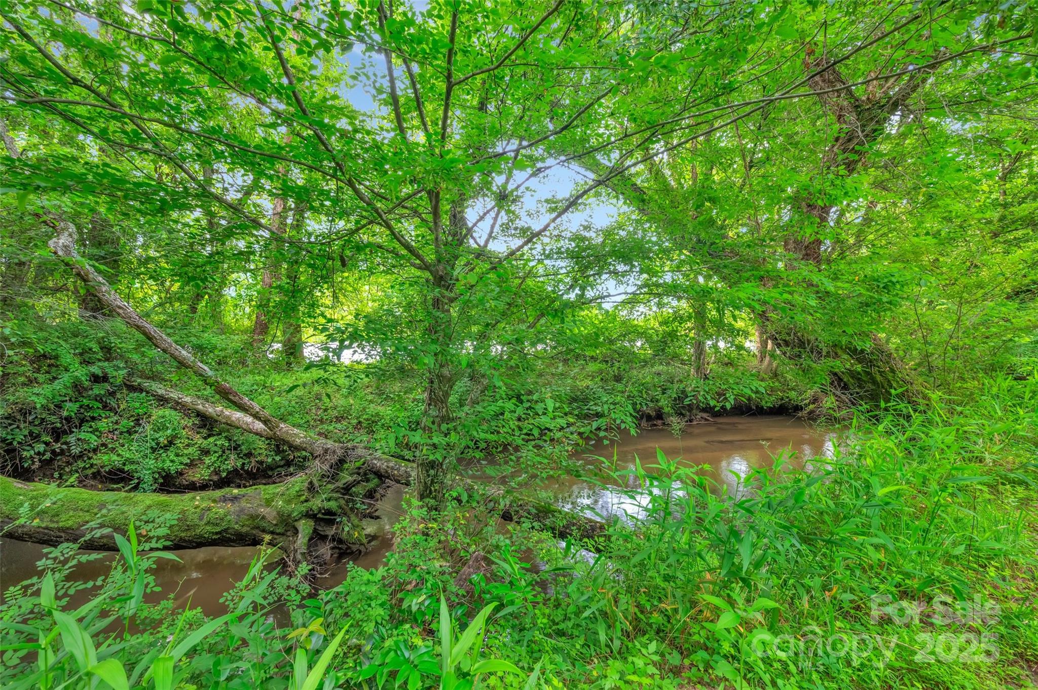 26 Bonnies Cove Trail Mills River NC 28759