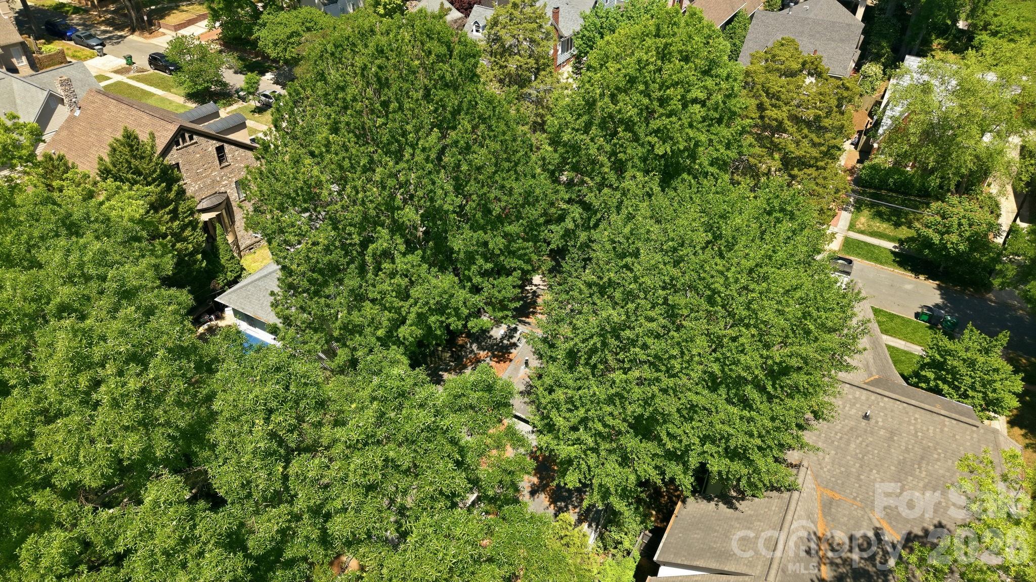 200 Altondale Avenue Charlotte NC 28207