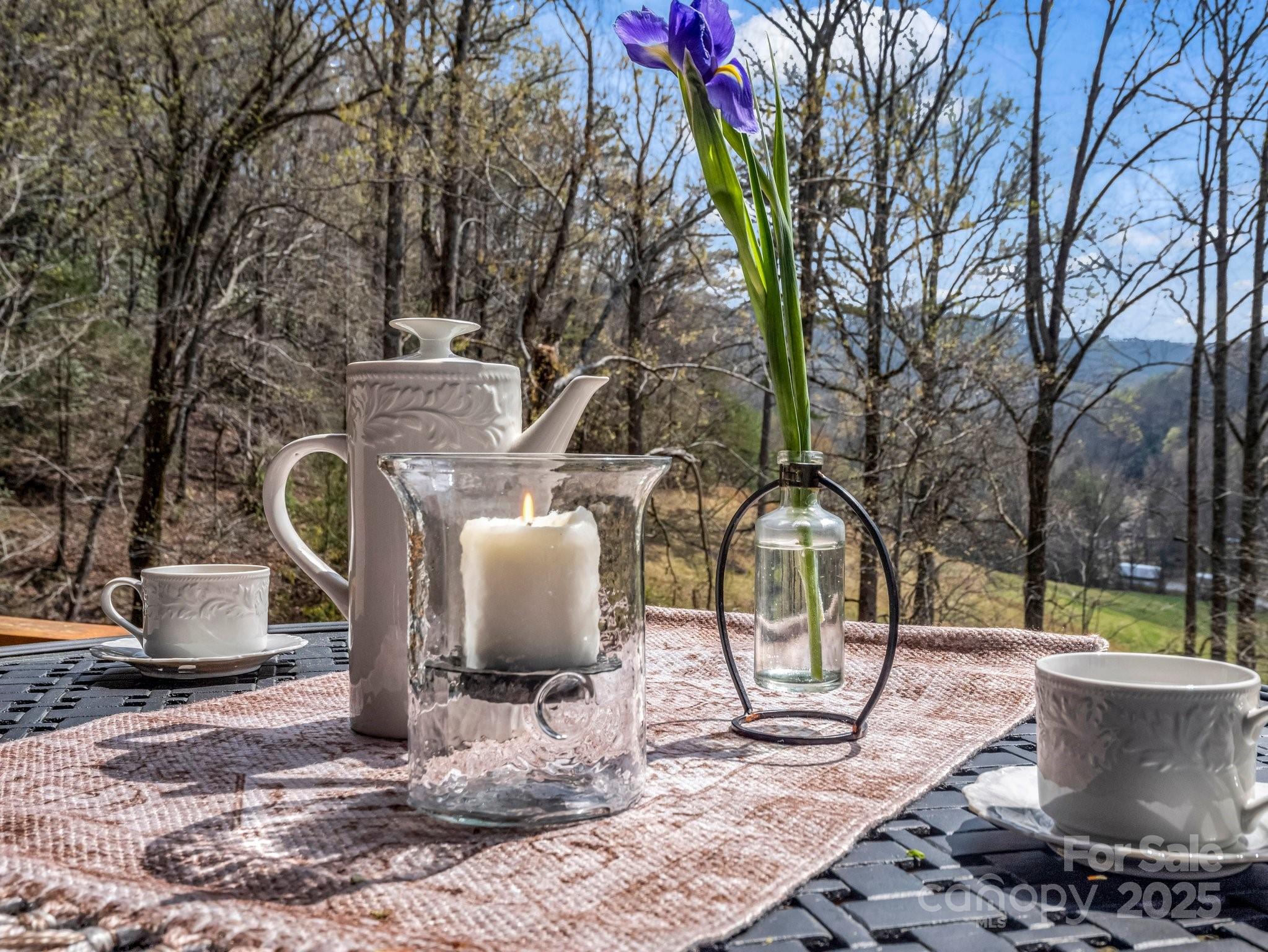 107 Twisted Birch Drive Hendersonville NC 28792