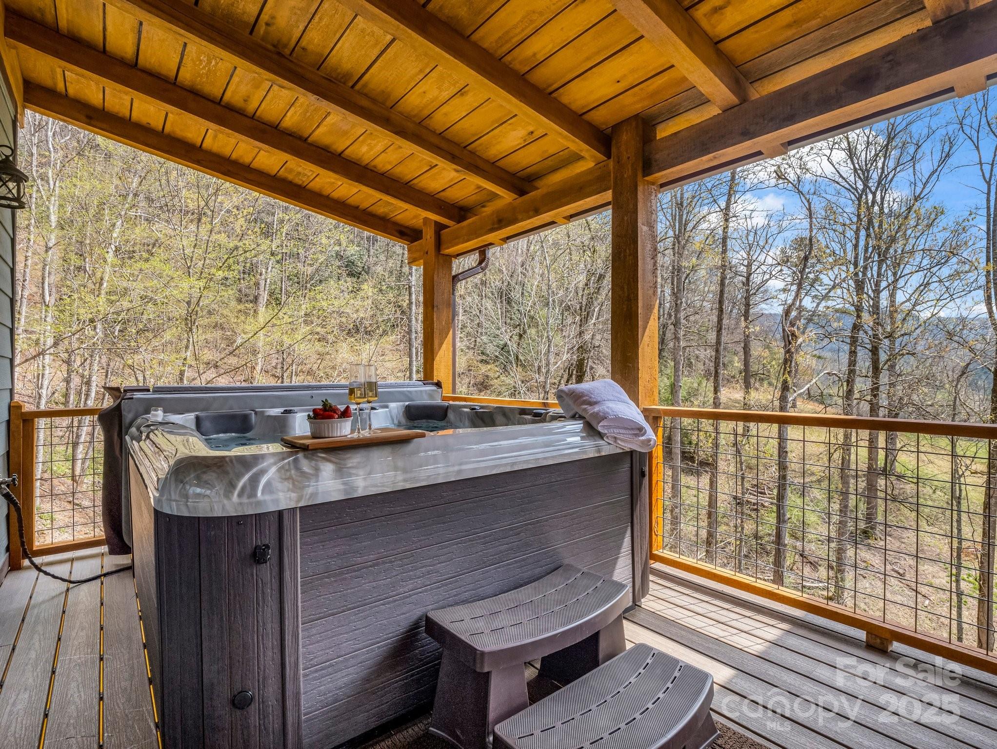 107 Twisted Birch Drive Hendersonville NC 28792