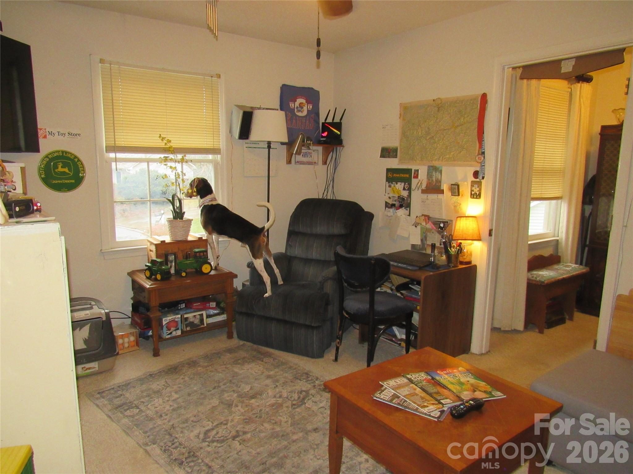 19 Westminster Drive Asheville NC 28804