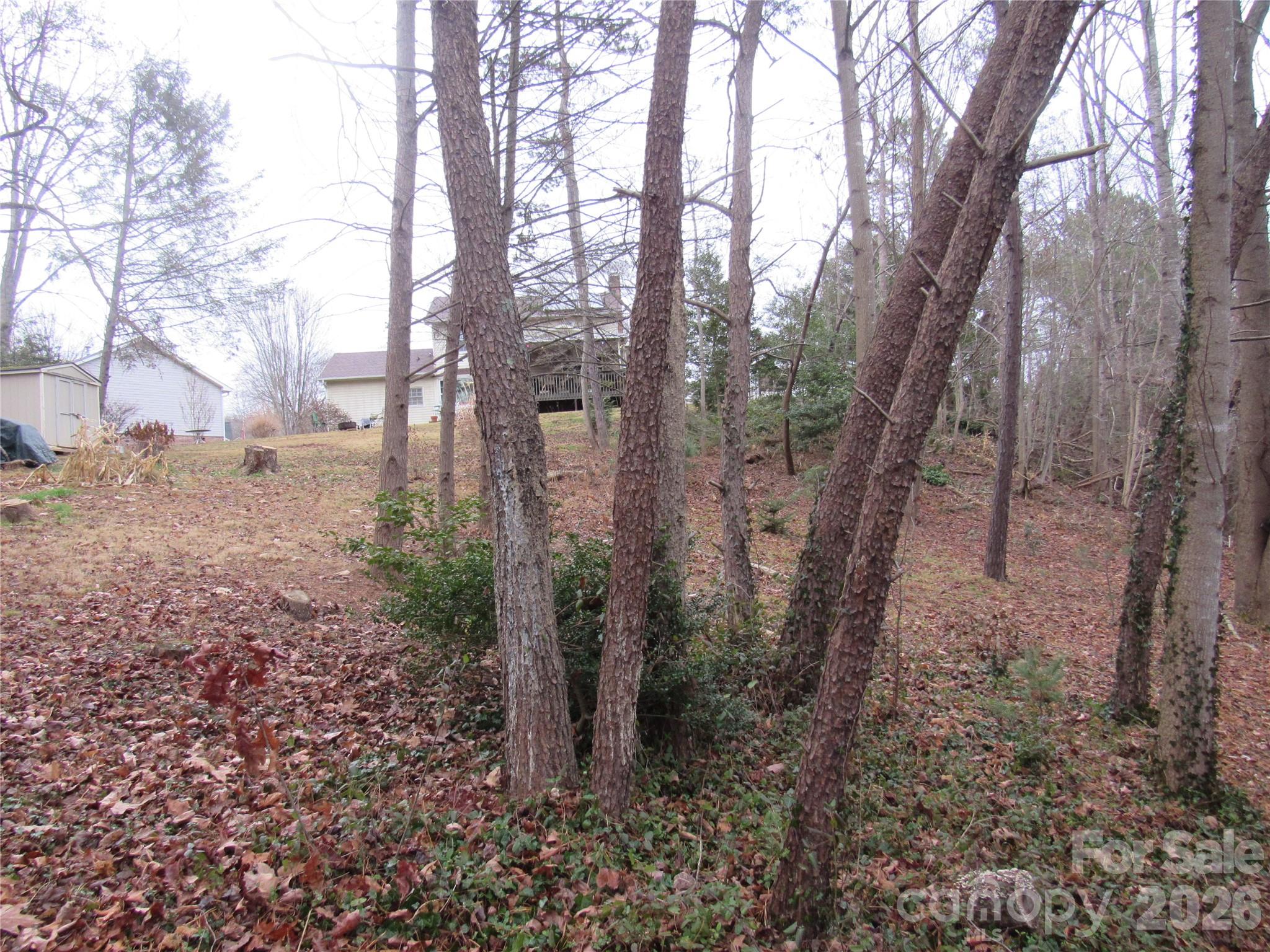 19 Westminster Drive Asheville NC 28804