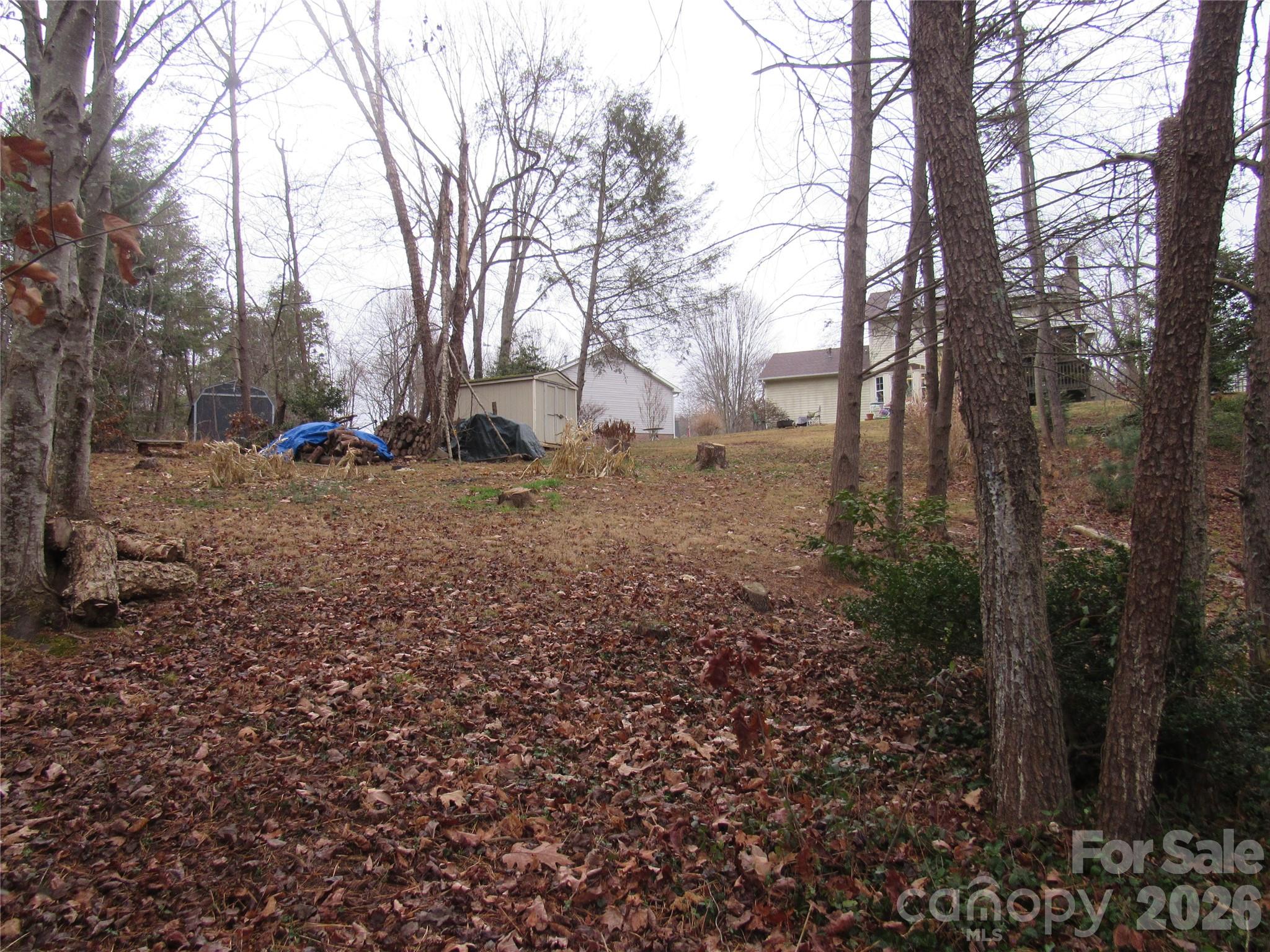 19 Westminster Drive Asheville NC 28804