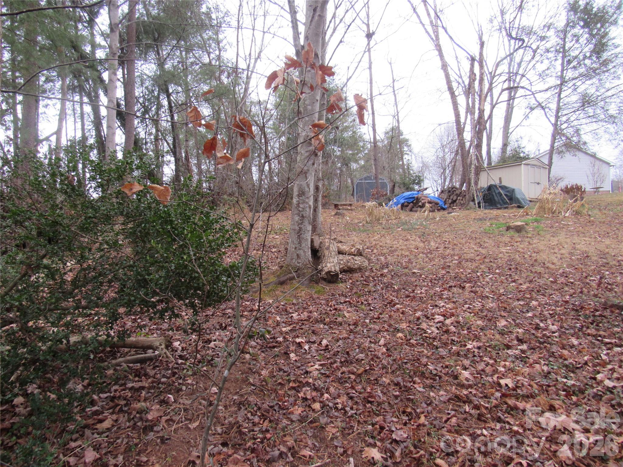 19 Westminster Drive Asheville NC 28804