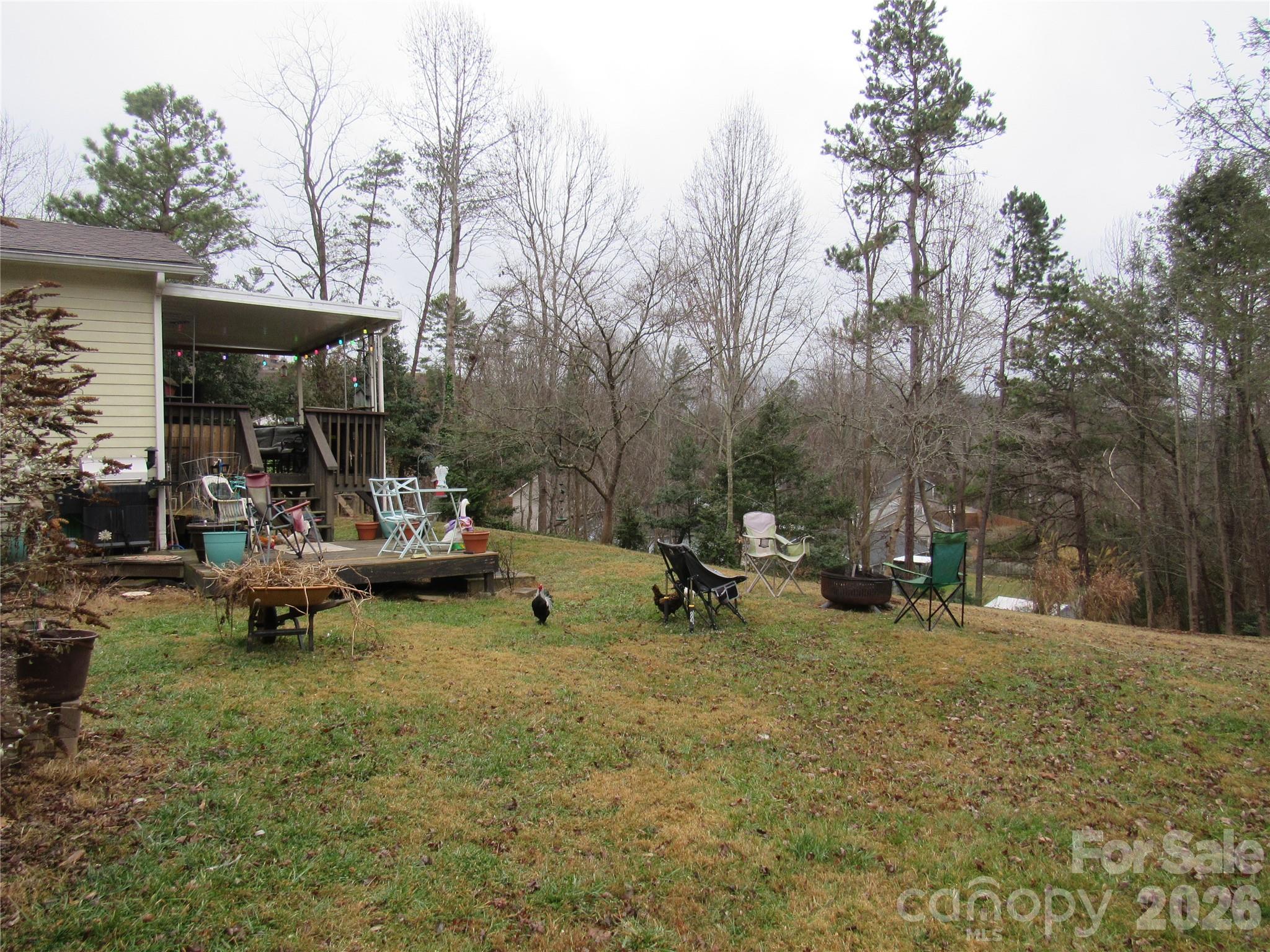 19 Westminster Drive Asheville NC 28804