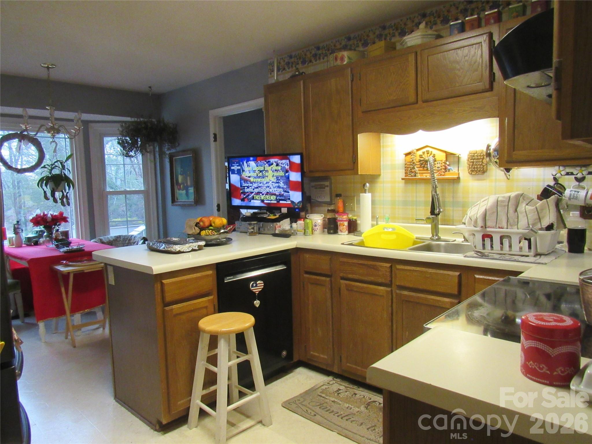 19 Westminster Drive Asheville NC 28804